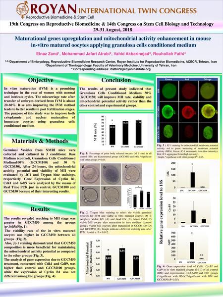 Objective Conclusion Materials & Methods Results