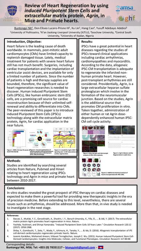 Review of Heart Regeneration by using induced Pluripotent Stem Cells and extracellular matrix protein, Agrin, in Mice and Primate hearts. Buntongyi Nit1,