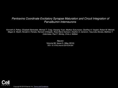 Pentraxins Coordinate Excitatory Synapse Maturation and Circuit Integration of Parvalbumin Interneurons  Kenneth A. Pelkey, Elizabeth Barksdale, Michael T.