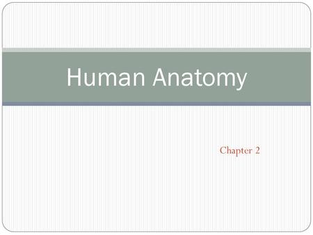 Human Anatomy Chapter 2.