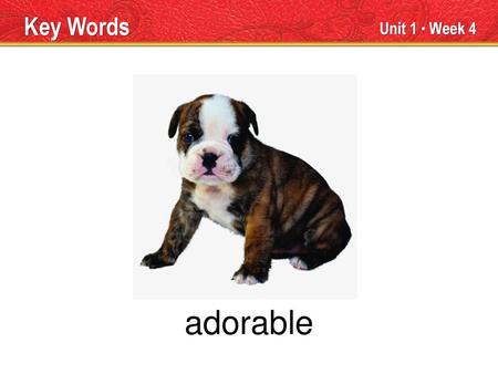 adorable Key Words Unit 1 ● Week 4 TEACHER TALK