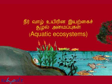 நீர் வாழ் உயிரின இயற்கைச் சூழல் அமைப்புகள் (Aquatic ecosystems)