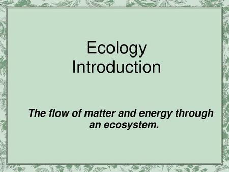 The flow of matter and energy through an ecosystem.