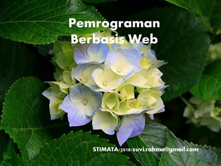 Pemrograman Berbasis Web