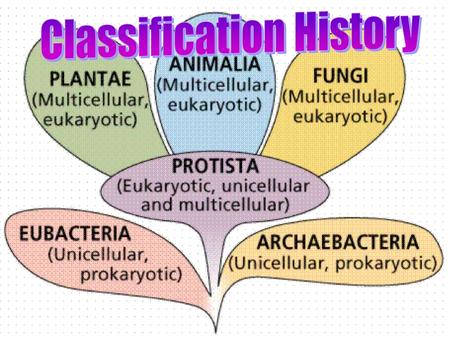 Classification History