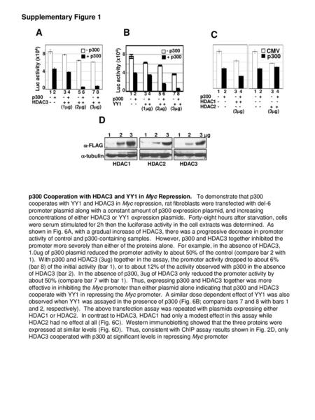 A B C D Supplementary Figure 1 CMV p300