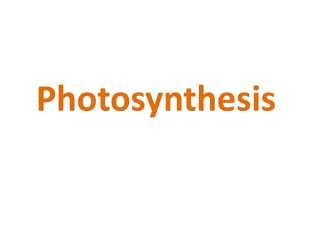 Photosynthesis.