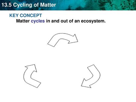 KEY CONCEPT  Matter cycles in and out of an ecosystem.