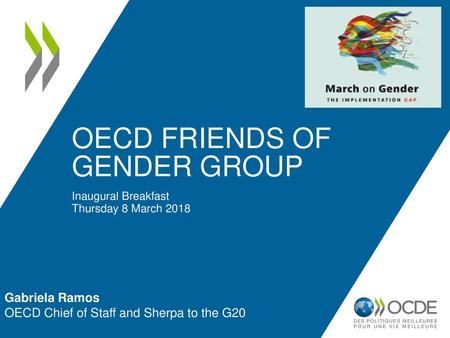 Oecd Friends of gender group