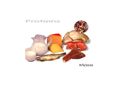 Proteins Made of amino acids in a specific sequence attached by peptide bonds. Consist primarily of carbon, hydrogen, oxygen, and nitrogen, but may include.