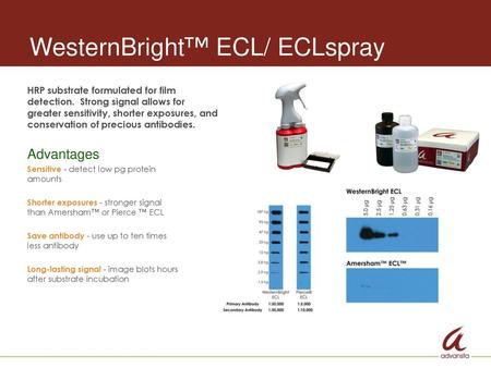 WesternBright™ ECL/ ECLspray