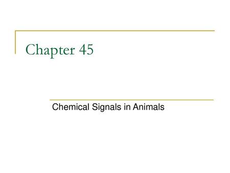 Chemical Signals in Animals