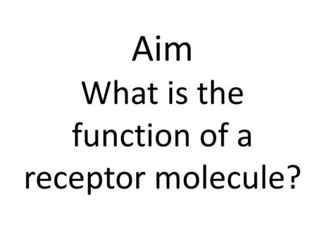 Aim What is the function of a receptor molecule?