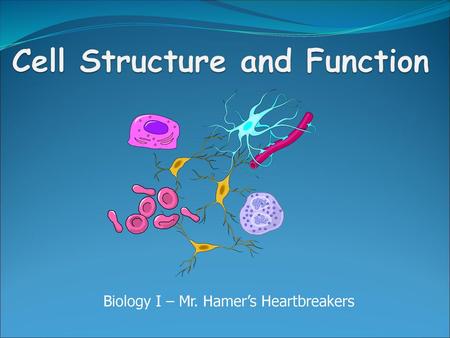 Cell Structure and Function