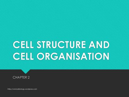 CELL STRUCTURE AND CELL ORGANISATION