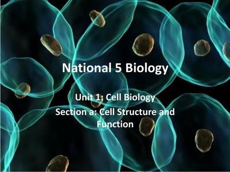 Unit 1: Cell Biology Section a: Cell Structure and Function