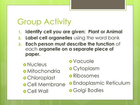 Group Activity Nucleus Mitochondria Chloroplast Cell Membrane