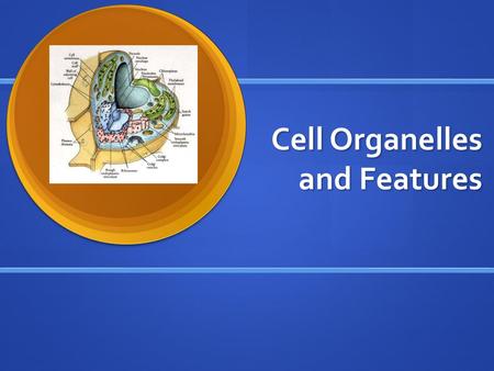 Cell Organelles and Features