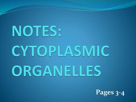 Notes: Cytoplasmic Organelles