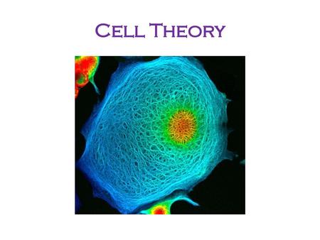 Cell Theory.