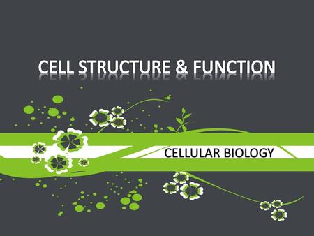 CELL STRUCTURE & FUNCTION