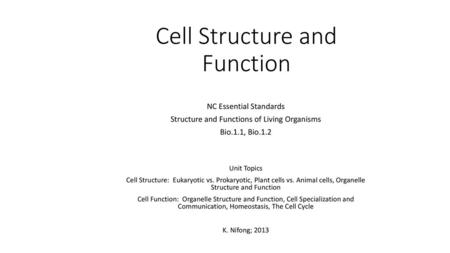 Cell Structure and Function