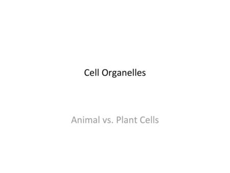 Cell Organelles Animal vs. Plant Cells.