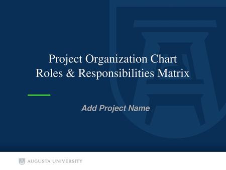 Project Organization Chart Roles & Responsibilities Matrix