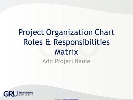 Project Organization Chart Roles & Responsibilities Matrix