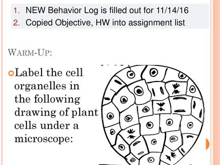 NEW Behavior Log is filled out for 11/14/16