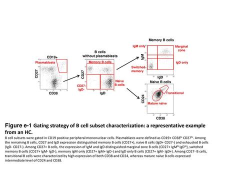 Memory B cells IgM only Marginal zone B cells without plasmablasts