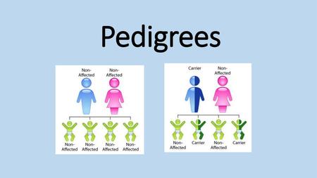 Pedigrees.