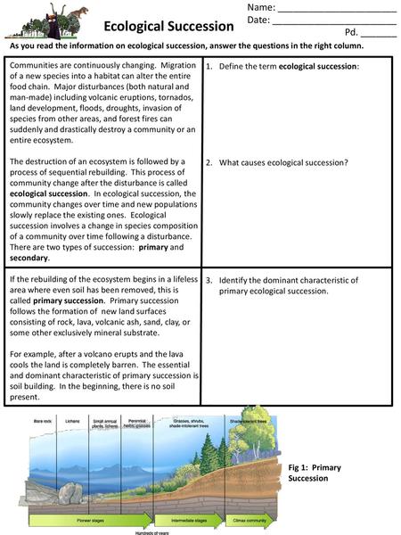 Ecological Succession