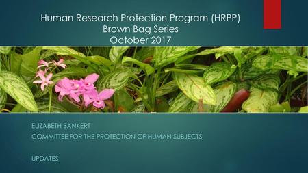 Human Research Protection Program (HRPP) Brown Bag Series October 2017