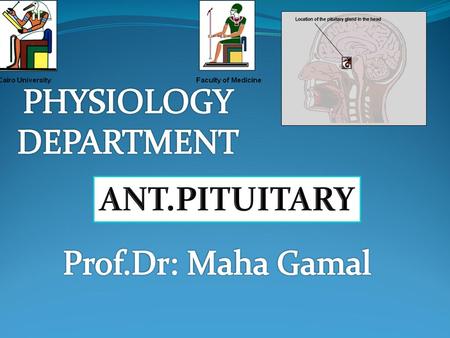 PHYSIOLOGY DEPARTMENT ANT.PITUITARY Prof.Dr: Maha Gamal.