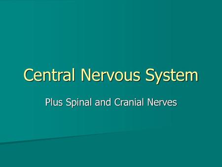 Central Nervous System