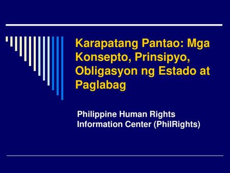 Philippine Human Rights Information Center (PhilRights)