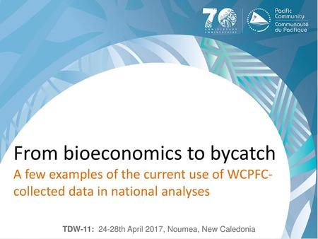 TDW-11: 24-28th April 2017, Noumea, New Caledonia