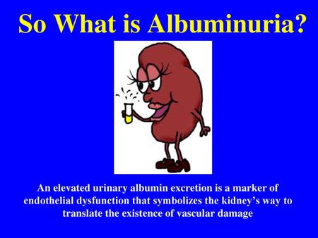 So What is Albuminuria? An elevated urinary albumin excretion is a marker of endothelial dysfunction that symbolizes the kidney’s way to translate the.