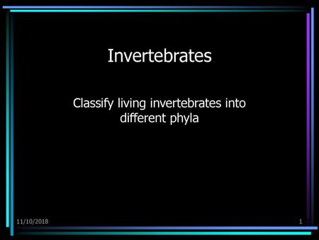 Classify living invertebrates into different phyla