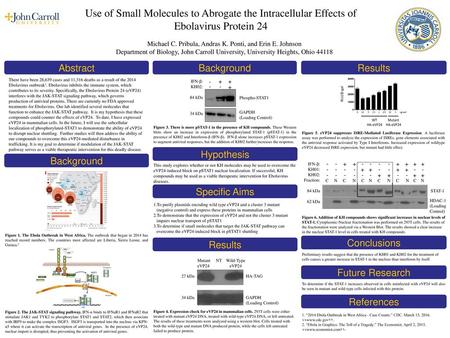 Michael C. Pribula, Andras K. Ponti, and Erin E. Johnson