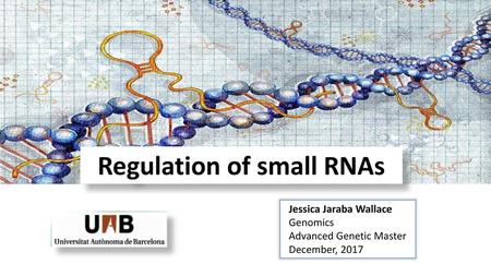 Regulation of small RNAs