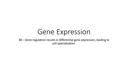 Gene Expression 3B – Gene regulation results in differential gene expression, leading to cell specialization.