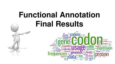 Functional Annotation Final Results