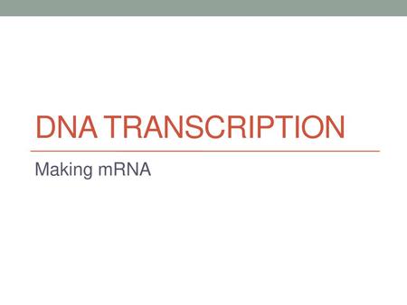 DNA TRANSCRIPTION Making mRNA.