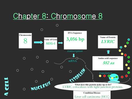 What does this protein make up or do?