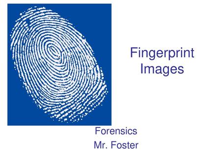 Fingerprint Images Forensics Mr. Foster.