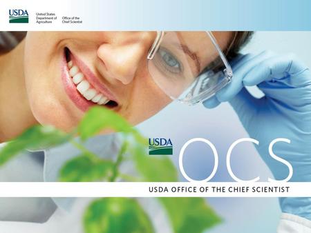 Outline: OCS Overview: Organizational Structure USDA Coordination