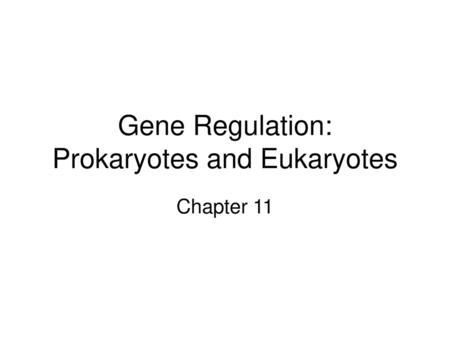 Gene Regulation: Prokaryotes and Eukaryotes