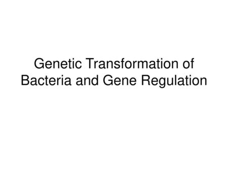 Genetic Transformation of Bacteria and Gene Regulation